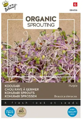 Buzzy zaden bio knip & eet Koolrabi blauwpaars - afbeelding 1