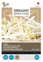 Buzzy zaden Bio Knip & Eet Tauge - afbeelding 1