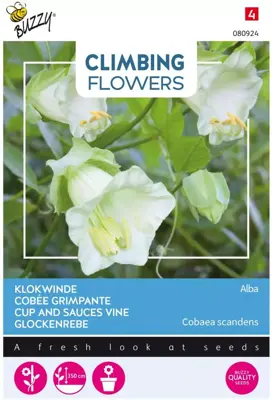 Buzzy zaden Climbing Flowers, Cobaea Alba Wit - afbeelding 1