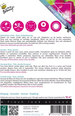 Buzzy zaden Climbing Flowers, Ipomoea Dubbel Rose - afbeelding 2