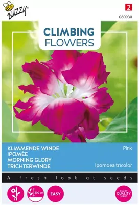 Buzzy zaden Climbing Flowers, Ipomoea Dubbel Rose - afbeelding 1