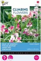 Buzzy zaden Climbing Flowers, Lathyrus Unwin's Striped kopen?