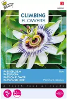Buzzy zaden Climbing Flowers, Passiebloem Blauw - afbeelding 1