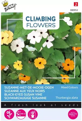 Buzzy zaden Climbing Flowers Thunbergia, Suzanne-met-mooie-ogen - afbeelding 1