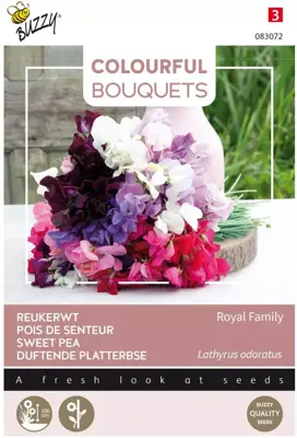 Buzzy zaden Colourful Bouquets, Royal Family (lathyrus) - afbeelding 1