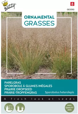 Buzzy zaden Grasses sporobolus heterolepis - afbeelding 1