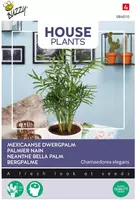 Buzzy zaden house Plants Chamaedorea, Dwergpalm kopen?