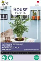 Buzzy zaden house Plants Chamaedorea, Dwergpalm - afbeelding 1
