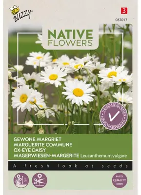 Buzzy zaden Inheemse bloemen, Gewone margriet - afbeelding 1