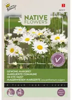 Buzzy zaden Inheemse bloemen, Gewone margriet - afbeelding 1