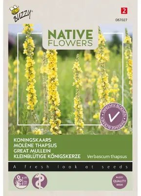 Buzzy zaden Inheemse bloemen, Koningskaars - afbeelding 1