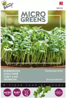 Buzzy zaden Microgreens, Boerenkool Westlandse Herfst - afbeelding 1