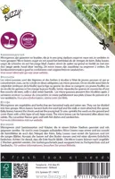 Buzzy zaden Microgreens, Borage (komkommerkruid) - afbeelding 2