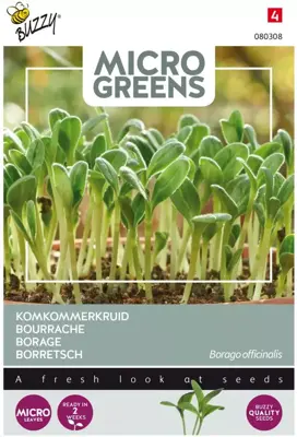Buzzy zaden Microgreens, Borage (komkommerkruid) - afbeelding 1