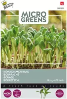 Buzzy zaden Microgreens, Borage (komkommerkruid) - afbeelding 1