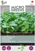 Buzzy zaden Microgreens, Citroenbasilicum kopen?