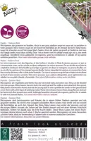 Buzzy zaden Microgreens, Radijs Rode Daikon - afbeelding 2