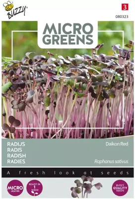 Buzzy zaden Microgreens, Radijs Rode Daikon - afbeelding 1