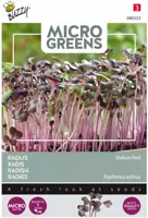 Buzzy zaden Microgreens, Radijs Rode Daikon kopen?