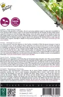 Buzzy zaden Microgreens, Snijbiet Regenboogmengsel - afbeelding 2