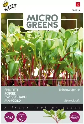 Buzzy zaden Microgreens, Snijbiet Regenboogmengsel - afbeelding 1
