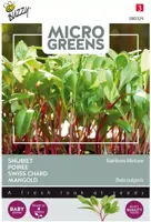 Buzzy zaden Microgreens, Snijbiet Regenboogmengsel kopen?