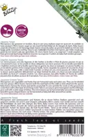 Buzzy zaden Microgreens, Tatsoi - afbeelding 2