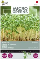 Buzzy zaden Microgreens, Tuinkers kopen?