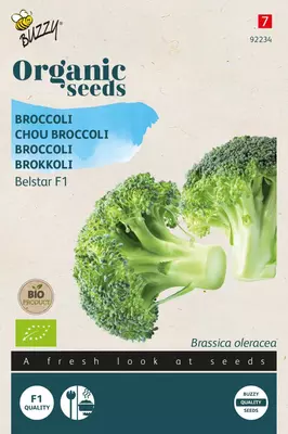 Buzzy zaden Organic Broccoli Belstar F1 (BIO) - afbeelding 1