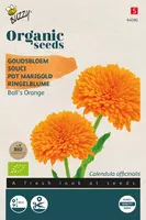 Buzzy zaden Organic Calendula, Goudsbloem Ball's Orange (BIO) kopen?