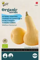 Buzzy zaden organic eetbare pompoen waltham butternut (BIO) kopen?