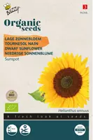 Buzzy zaden organic helianthus, lage zonnebloem sunspot (BIO) kopen?