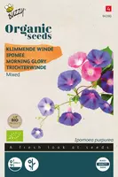 Buzzy zaden organic Ipomoea, Klimmende winde gemengd (BIO) kopen?