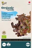 Buzzy zaden organic pluksla red salad bowl (BIO) kopen?