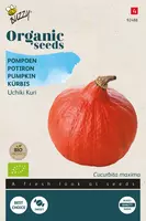 Buzzy zaden organic pompoen uchiki kuri (BIO) kopen?
