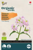 Buzzy zaden organic saponaria pink beauty (BIO) - afbeelding 1