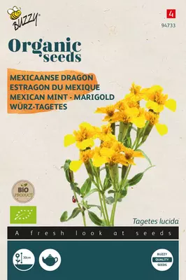 Buzzy zaden organic tagetes lucida, mexicaanse dragon (BIO) - afbeelding 1
