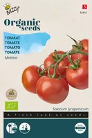 Buzzy zaden organic Tomaten matina (BIO) kopen?