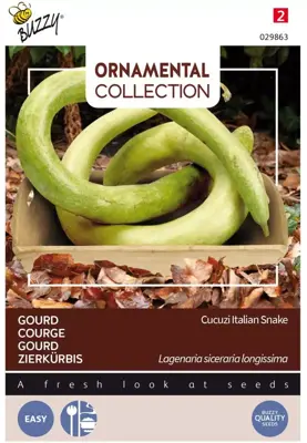 Buzzy zaden ornamental gourd italian edible/cucuzi - afbeelding 1