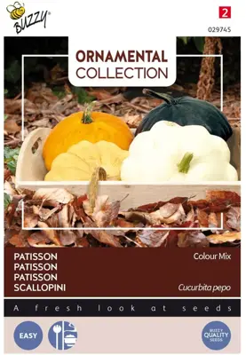 Buzzy zaden Ornamental Patisson Colour Mix - afbeelding 1