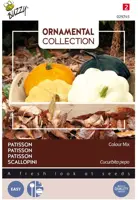 Buzzy zaden Ornamental Patisson Colour Mix - afbeelding 1