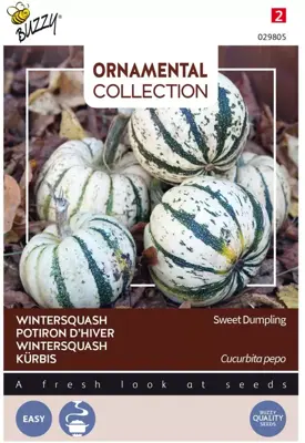 Buzzy zaden Ornamental Wintersquash Sweet Dumpling - afbeelding 1