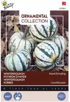 Buzzy zaden Ornamental Wintersquash Sweet Dumpling - afbeelding 1