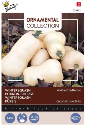 Buzzy zaden ornamental wintersquash waltham butternut - afbeelding 1