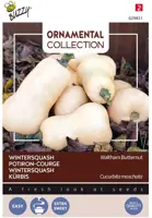 Buzzy zaden ornamental wintersquash waltham butternut - afbeelding 1