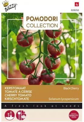 Buzzy zaden Pomodori, Kerstomaat Black Cherry - afbeelding 1