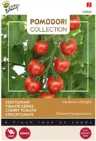 Buzzy zaden Pomodori, Kerstomaat Gardeners Delight (Cherry) - afbeelding 1