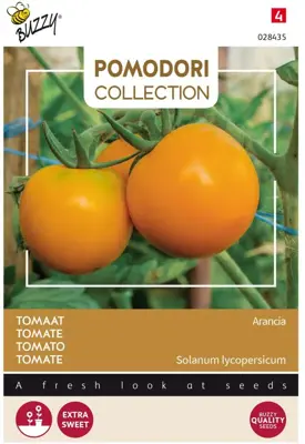 Buzzy zaden Pomodori, Tomaat Arancia - afbeelding 1