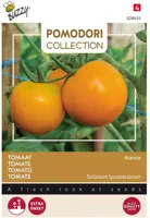 Buzzy zaden Pomodori, Tomaat Arancia - afbeelding 1