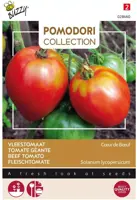 Buzzy zaden Pomodori, Vleestomaat Cœur de Bœuf - afbeelding 1